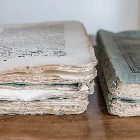 Botanical Boutique Villa *